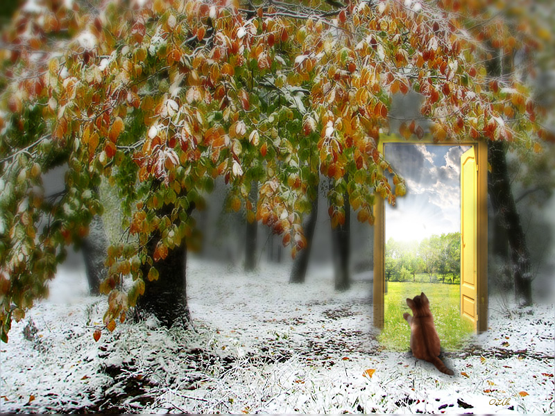 �������� ����� � ����....