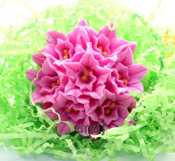 ���� �������. ���� ������ ������, ����� ��������. ������� �������: ������, ��������, �������� 2/15