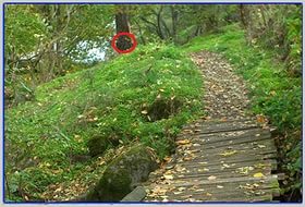 ��� ��������� �������� ��������� �����