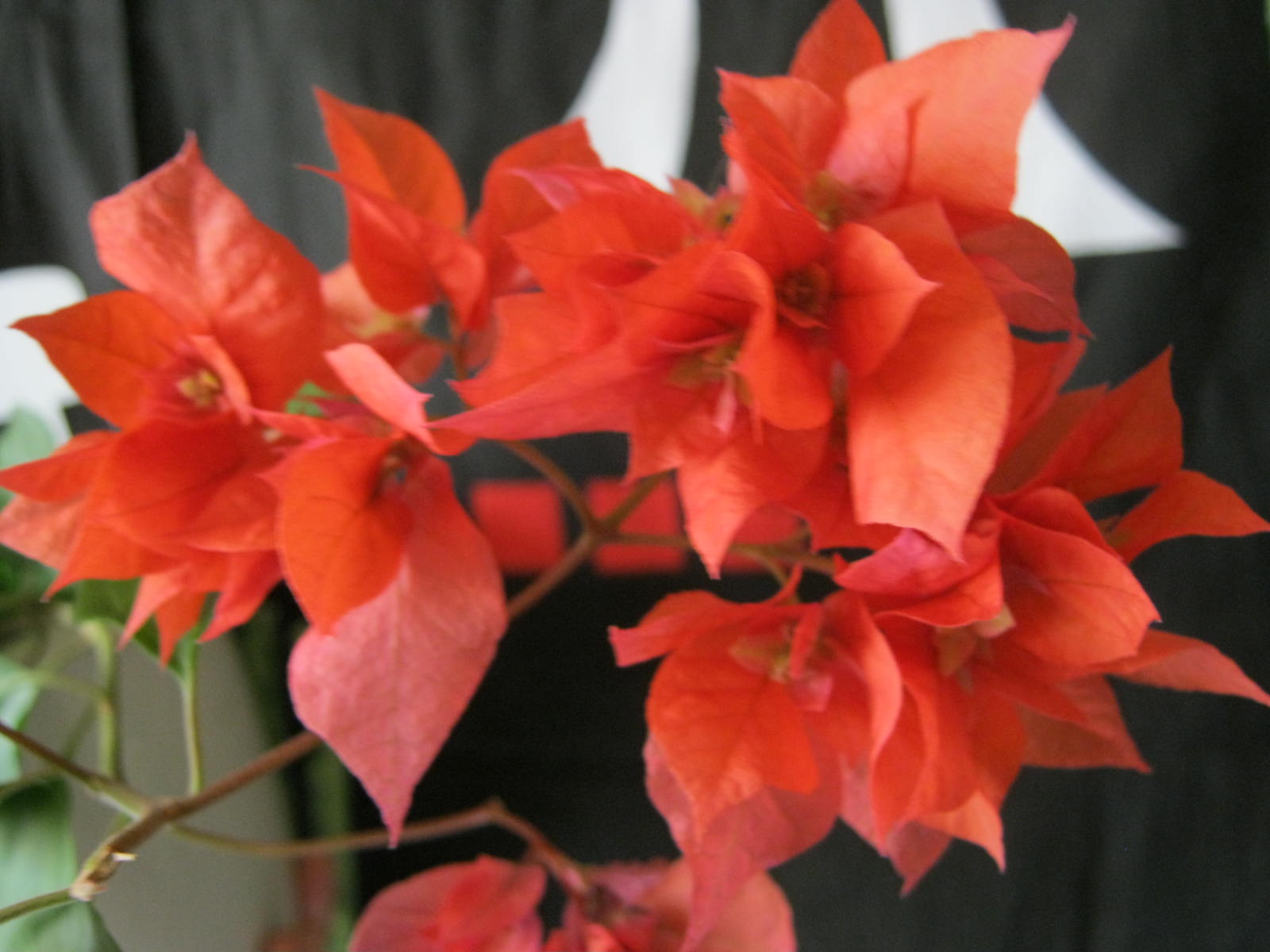 �������: ���������� � ����� �������