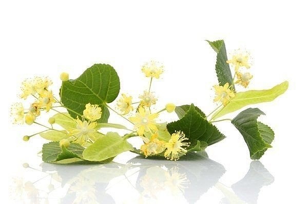 ������ �� ��������� �����