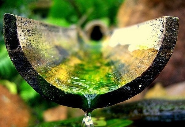 ����� ������������ ����� �����