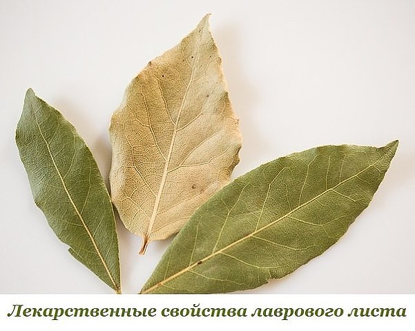 ������ ��������� �����