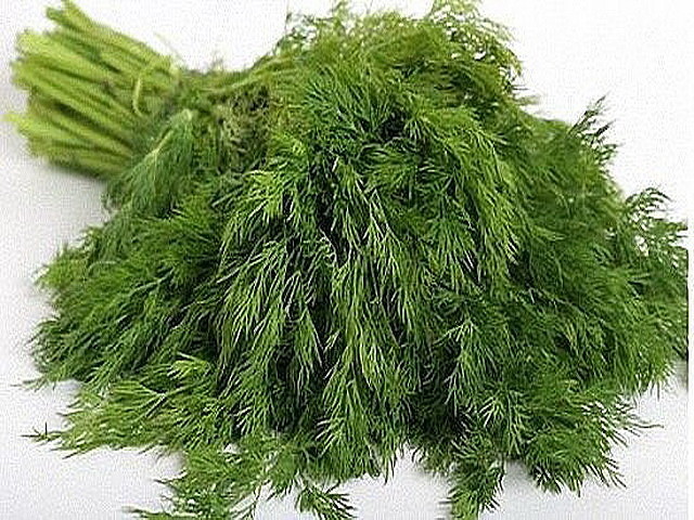 �����-��������