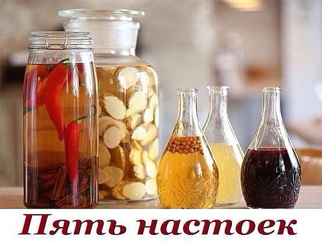 ���� ������� - �������� �������� �� ����������