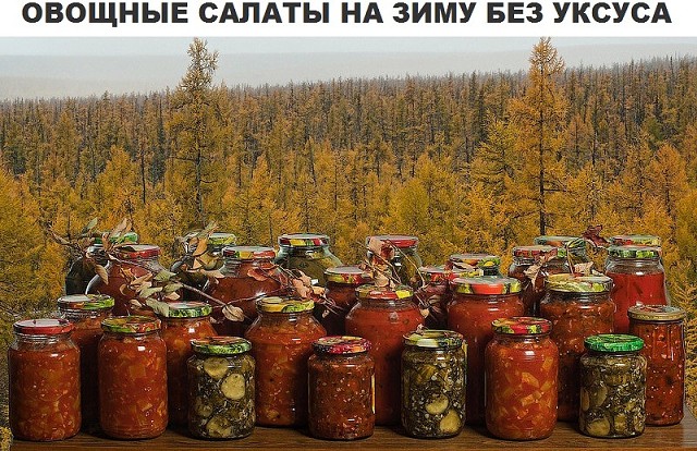 ������������ ��� ������