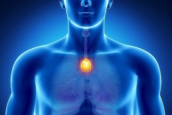 ������� ����� �������� �������