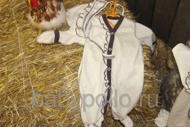 ���� �������.����� ���������� � �������� ������ ��� ������������� �� Pollo.����� ��������� ����� 25