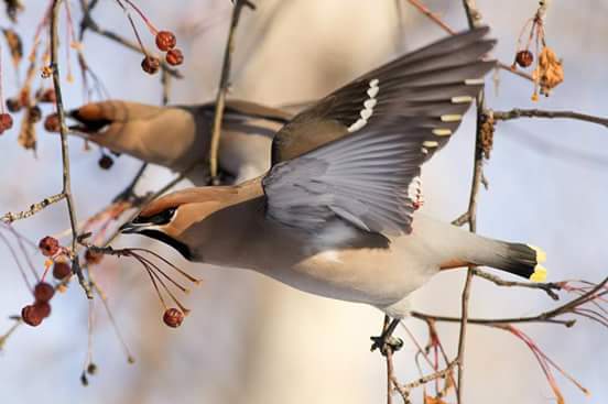 ����������...