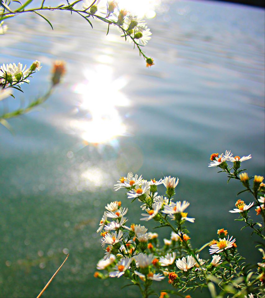 ��� ������ � ���� ������ - ��� ���� �����...