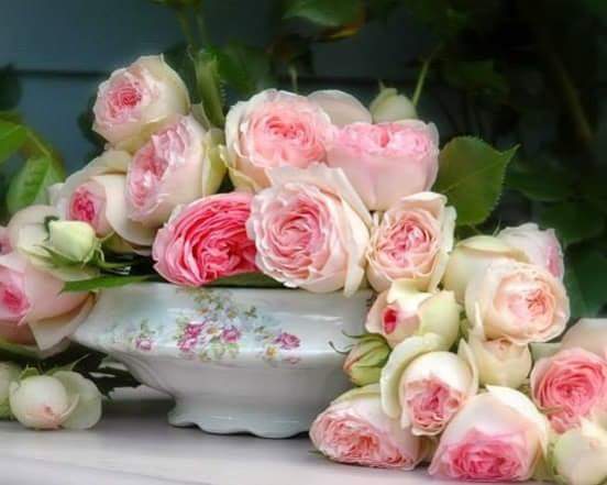 �� ,��� ��� �ݣ �������?....������ ���������, ����������...� ��������� ������!!!....))))))