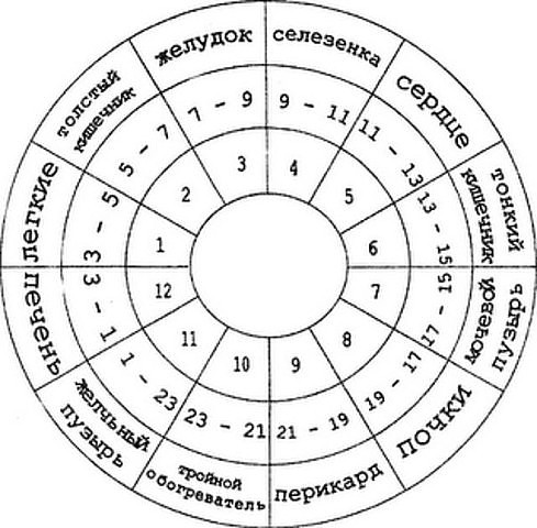 ���� ������ ������ ���������