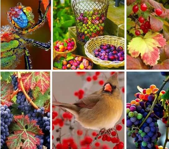 ������� � ������� �������!!!