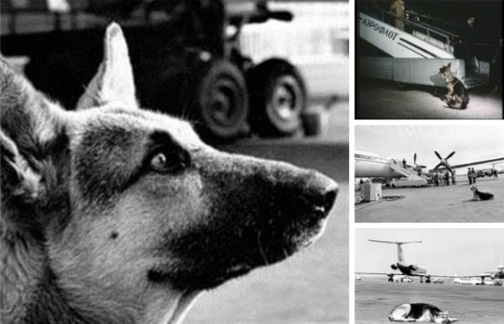 ��� ���� ����� �������