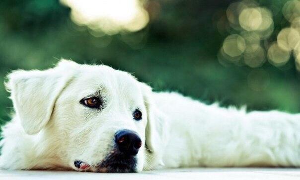 ������ � ������ �������