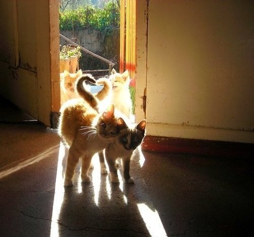 ��� ����� ������� -- �������� ������, � ���� ������� ���! �� ����� ������������, ����� ������� ��� -- ���� ����� �