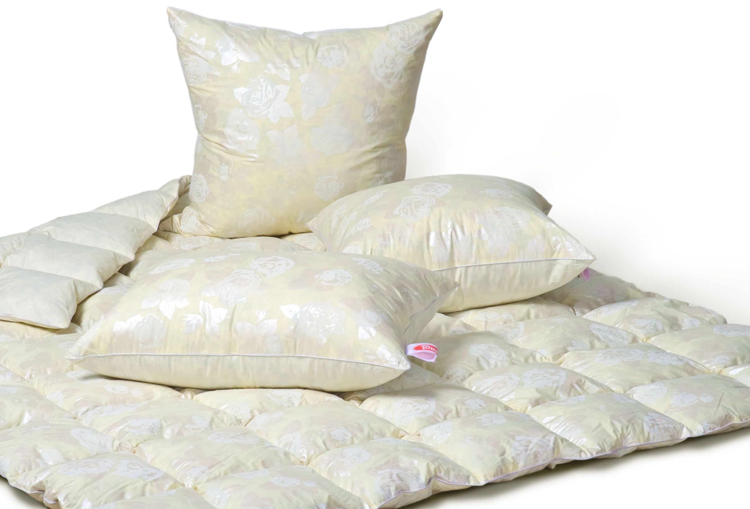 ���� ������,23 �������!!!���� �������. ��� ��� ������ ��� ��� ��������...������,�������,���������� ����� �� �������