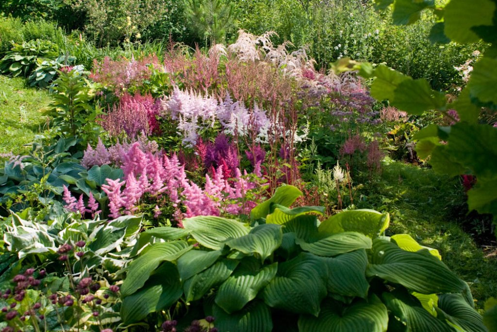 ��������� �������������, ����������. ����� ����� 2016�