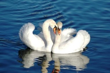 �������� ��������� ��������� ��������