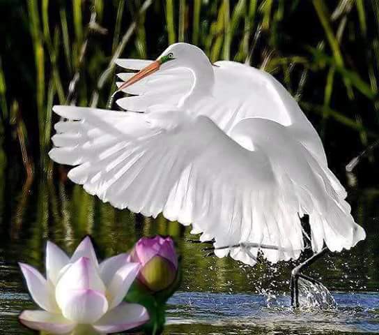 ������� �� ���� ����������...