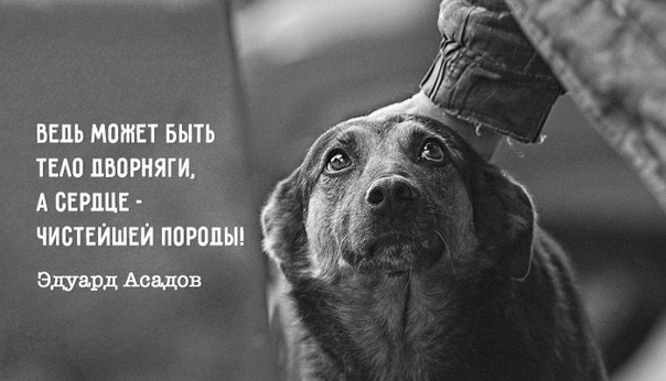 ����� � ����� ��������