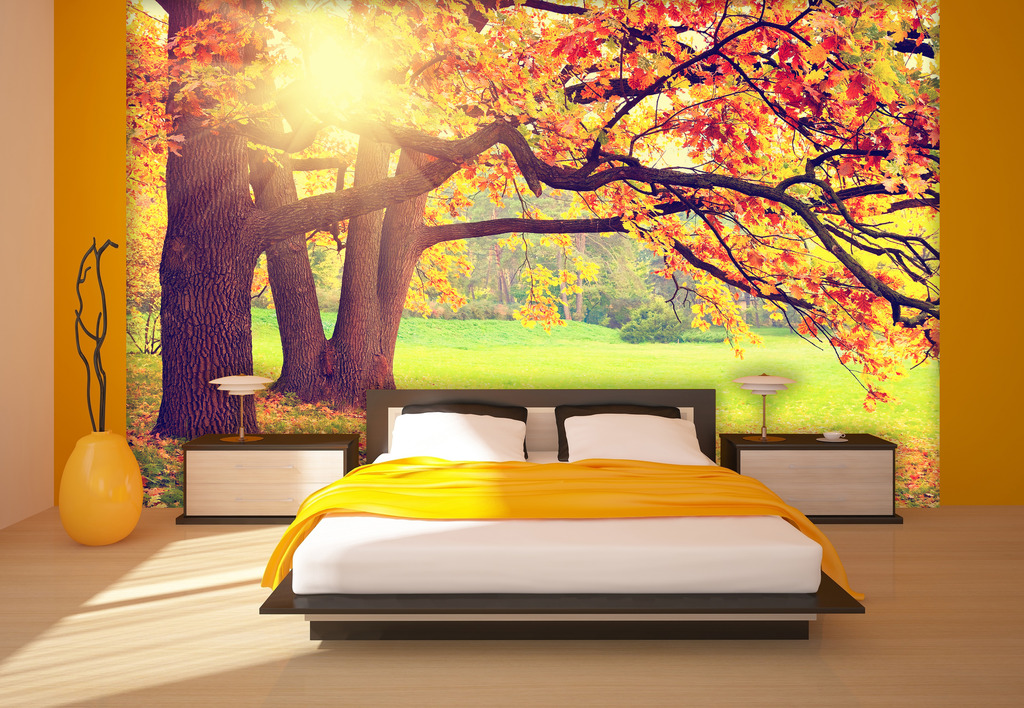 ���� �������. �������� - ������� ������ ����. �������� - ���������, ����, � ������������, ��� �����, � ��� �� �������