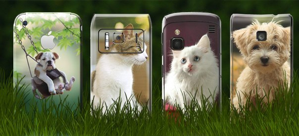 ����� �������� ����� � �������� �� �������, �������, ������� �� ������� �� 55% �� 77%-20