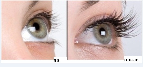 ���������� ����� ������. ������, ������� � �����������. - 5