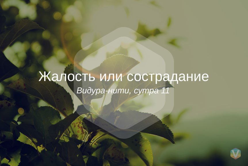 �������� ������� ����. ������� ��� �����������