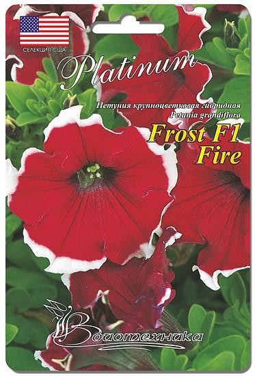 ���� �������.����� �� ���������� 2 �������� �� ���� 1.������ ����������. �������� ������ �� 6 ������. ����� 2 ������� �