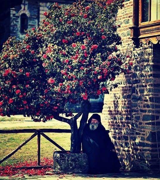 ���������... ��� - ���������. ��������������� �� ������ ������, ������� �������� ���������...