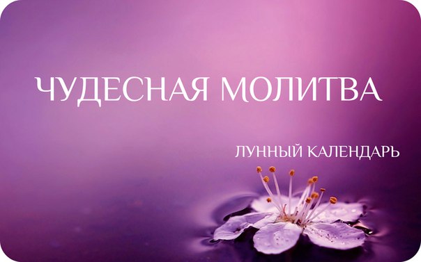 ���� ���������� ��� �� ����� �������, ������� �������� ������� ����� �������� ���� �����