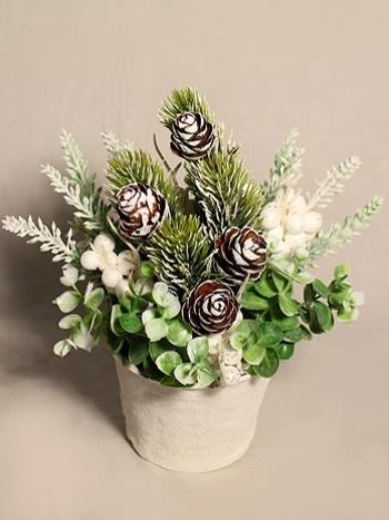 ���� �������. ���������� ������, ����� �� �����, �����, ��������, ��������� �������� � ������������, �������, ��������, ������ 2016 �.