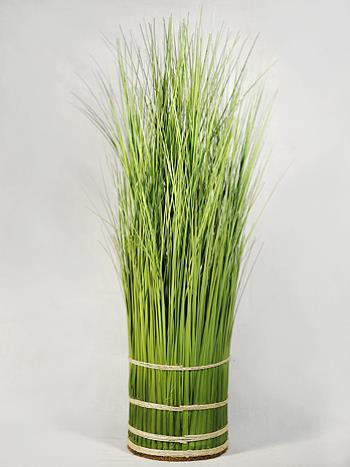 ���� �������. ���������� ��������� ����������� � ��������� ����������! ������ �� 25%. ����� �� ������� ������������� �������, ����� � �������, ��������� �����, ����������� �������, ������������� �����, ���������, ��������� ����� � ������. ����� 7.