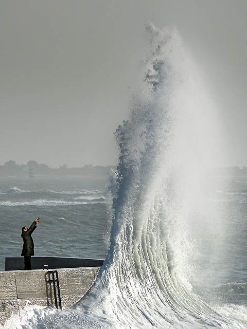 ������ ���� ����������� �������� �������