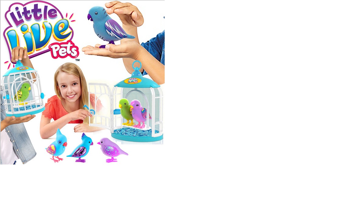 ���� �������. ���� �����. �������. ���� ������� �� ��������������. ���������� ������. ����� 10.