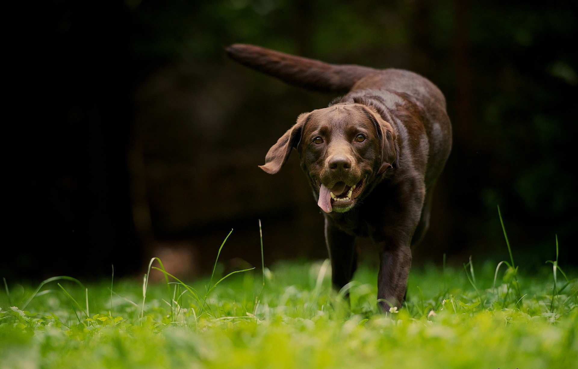 �������� ��� ����� �� ����������� ���� (��������, ����������, �������, ������ � �.�.), ����������� �������, ������� � ������� �� �������, ���������� �� ������� � ��������, ����� �� ��������, � ����� �������-������ �������!