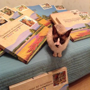 ���� �������.������� �� ������� ����� 380 ������, � ����� �������� �������, ��������.�������.����� 2