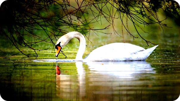 ������ ��������� ��������� ������ ����