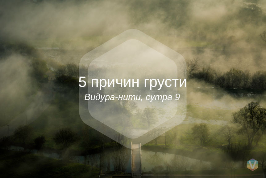 �������� ������� ����. 5 ������ ������