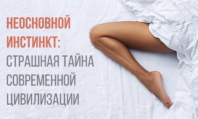 18+! ���������� ��������. ������ ������ �������.