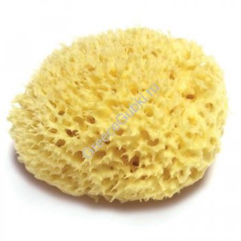 ���� �������.������� �������� ����������� ������� ����� ��� ���� � ����. Honeycomb.����� 13