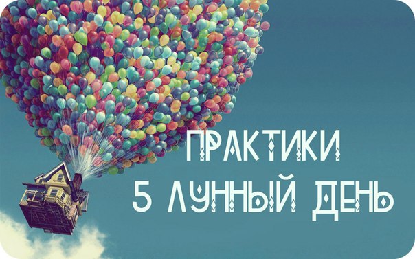 5 ������ ����� �������� ���