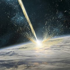 ��� ��� ������� ��������� WT1190F �������� �� ������� ����