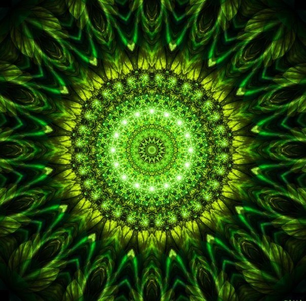 �������-�������