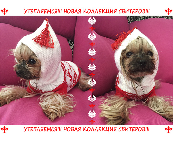 ������� �������.24.11.�������� ��� ��������� ������� -�������� ���������� ��������.����� ���������+sale.������