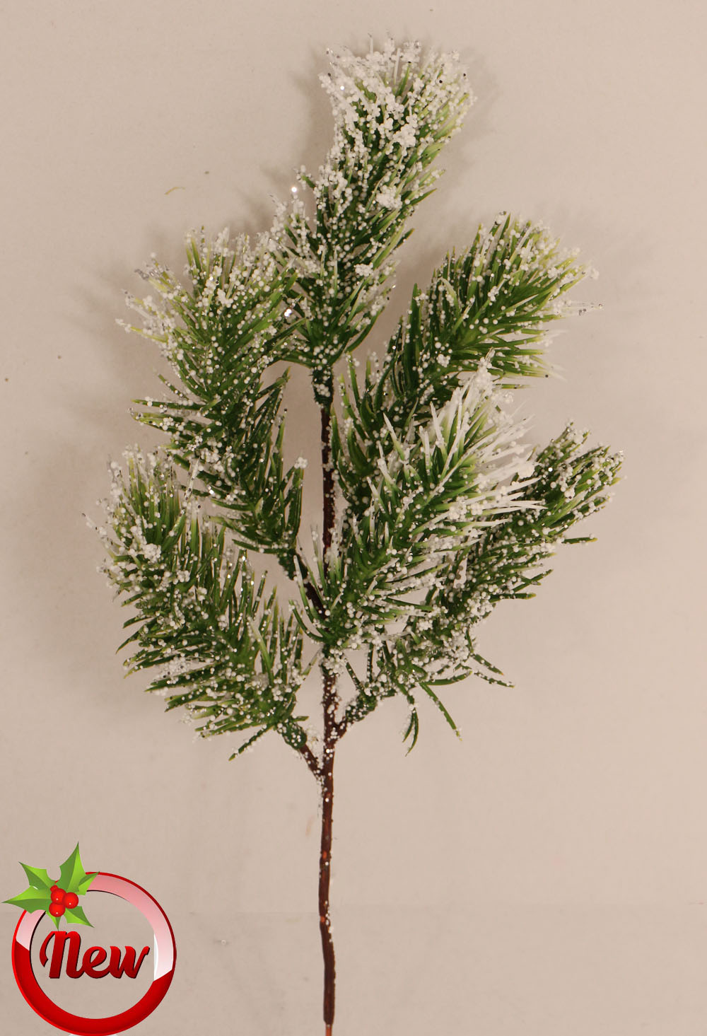 ��..... ����� �������!