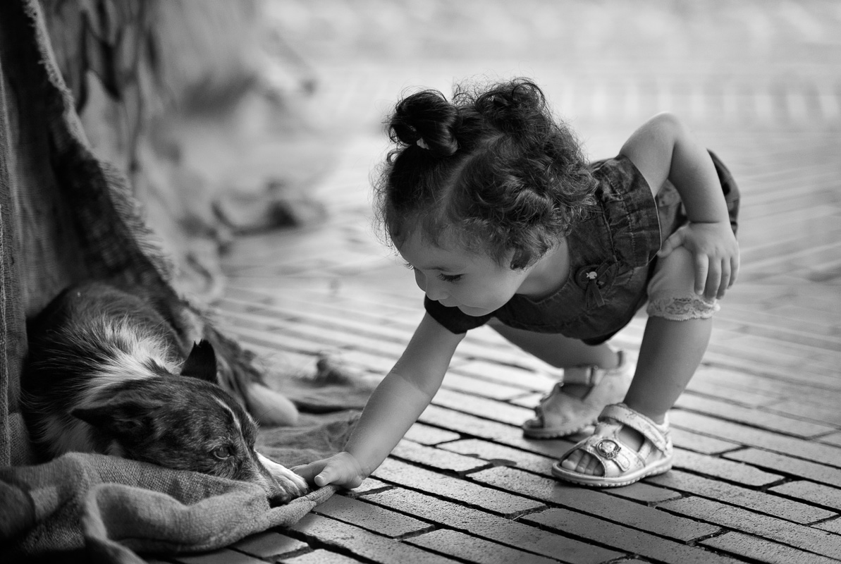 ����������� ���� ������ ������� ������ ���������� ��������... (�) ��������� ����������