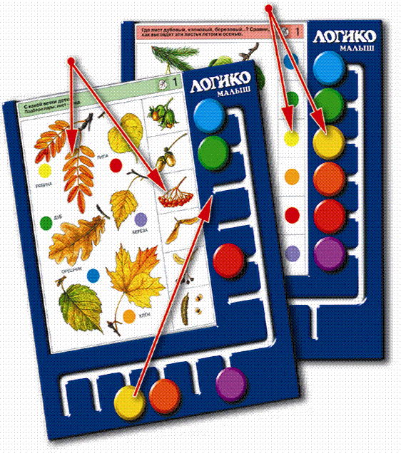 ����� �������! ���������� �������. ������-������� ������� ��� ����� 3-7 ���. ��������� ������, �������� � ������. ������� 10%.