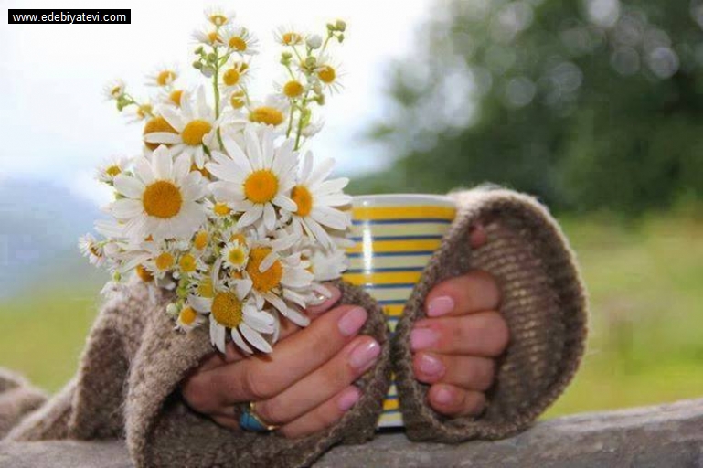 ����������, ���!:)